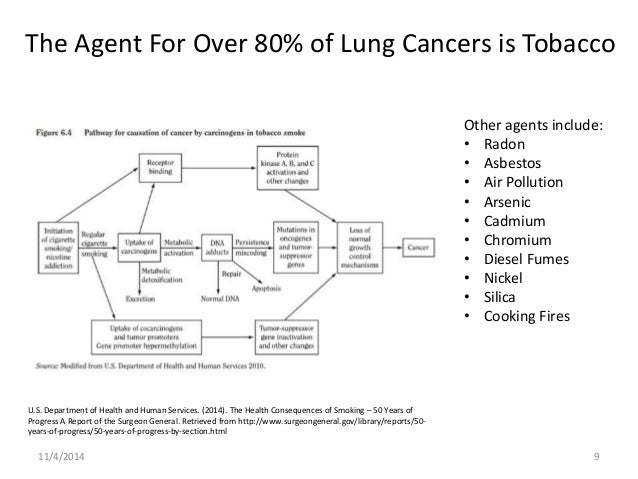 lung cancer essay
