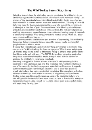 The Wild Turkey Sucess Story Essay
What I ve learned about the wild turkey success story is that the wild turkey is one
of the most significant wildlife restoration successes in North American history. This
species of bird has not only been restored to almost all of its family range, but has
been successful to suitable habitats elsewhere on the continent. The story of the wild
turkeyis a cause for thanksgiving among the people who support the environment.
And not just at this time of year. The reason is that the wild turkey about became
extinct in America in the years between 1900 and 1930. But with careful planning,
stocking programs and support between conservation and hunting groups, it has made
a remarkable comeback. Wild turkey populations went as low as 30,000 all... Show
more content on Helpwriting.net ...
They ve overcome loss of habitat and past practices of overhunting. The wild turkey
has proved that environmental damage caused by humans can be overturned if
people choose to work as a team.
Because they ve made such a comeback they have grown larger in their size. They
can get to be 36 48 inches long the, have a wingspan of 57 inches and weigh up to
25 pounds. They can fly as fast as 55mph and run up to 25mph. Their gobble can be
heard from as far as 1 mile away. The NWTF declared this intriguing species has
truly made an awesome comeback. Theirs plenty of items that can be done to
continue the wild turkeys remarkable comeback.
One thing or suggestion that can be done to keep wild turkeys coming back to
your land or into a particular area is to do a controlled burn. Controlled burning is
one of the most effective land management methods for wild turkeys. A properly
controlled burning can clear the right amount of area to allow new plants on
which wild turkeys feed on to grow in their population. The more plants to feed on,
the more wild turkeys there will be in the area, as long as they feel comfortable
feeding in that area. Grass and legumes are some of the plants that turkeys love
that will grow in the controlled burn areas. A second item is that the wild turkey can
range many miles in a day s search for food and eats as many as a pound of insects
and seeds along the way. So a
 