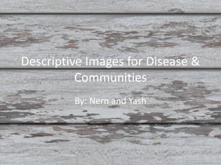 Descriptive Images for Disease &
          Communities
         By: Nern and Yash
 