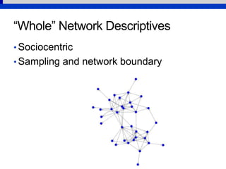 07 Whole Network Descriptive Statistics