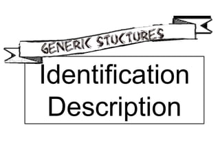 Identification
Description
 