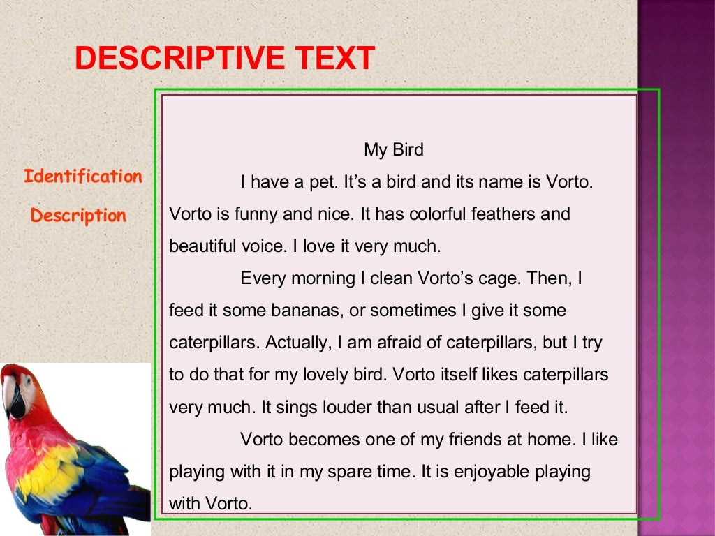 essay about descriptive text