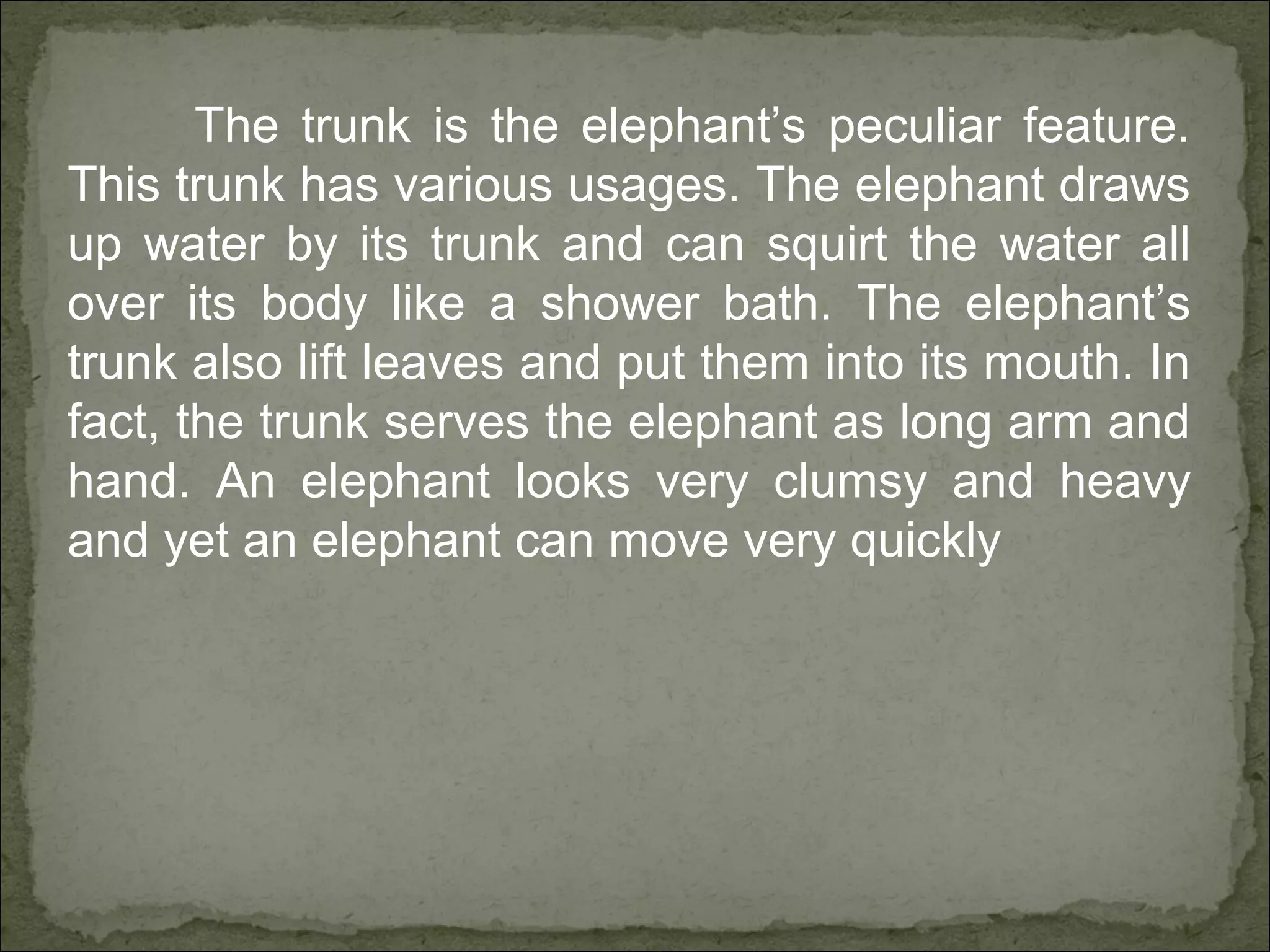 The trunk is the elephant’s peculiar feature.
This trunk has various usages. The elephant draws
up water by its trunk and can squirt the water all
over its body like a shower bath. The elephant’s
trunk also lift leaves and put them into its mouth. In
fact, the trunk serves the elephant as long arm and
hand. An elephant looks very clumsy and heavy
and yet an elephant can move very quickly
 