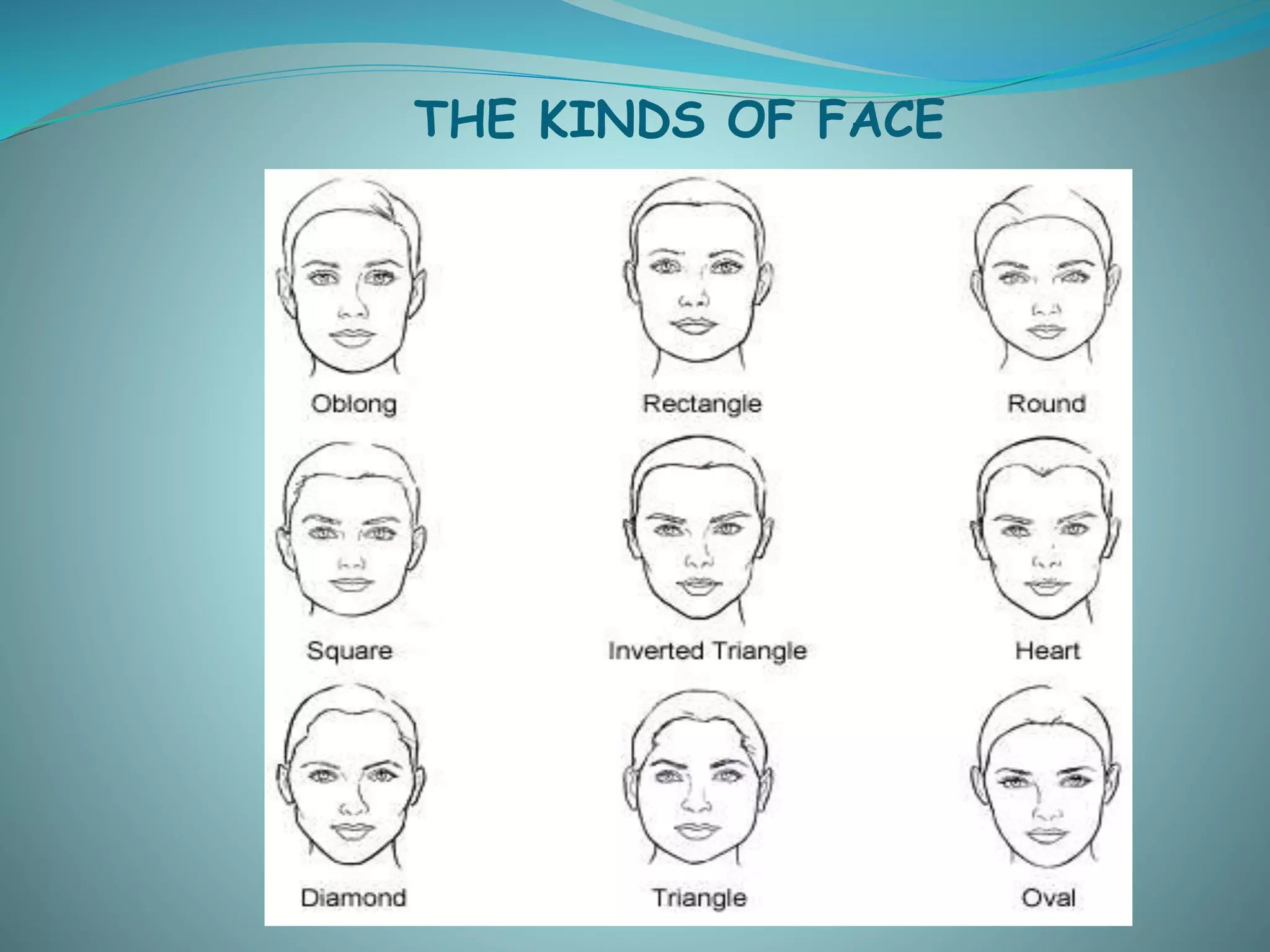 THE KINDS OF FACE
 
