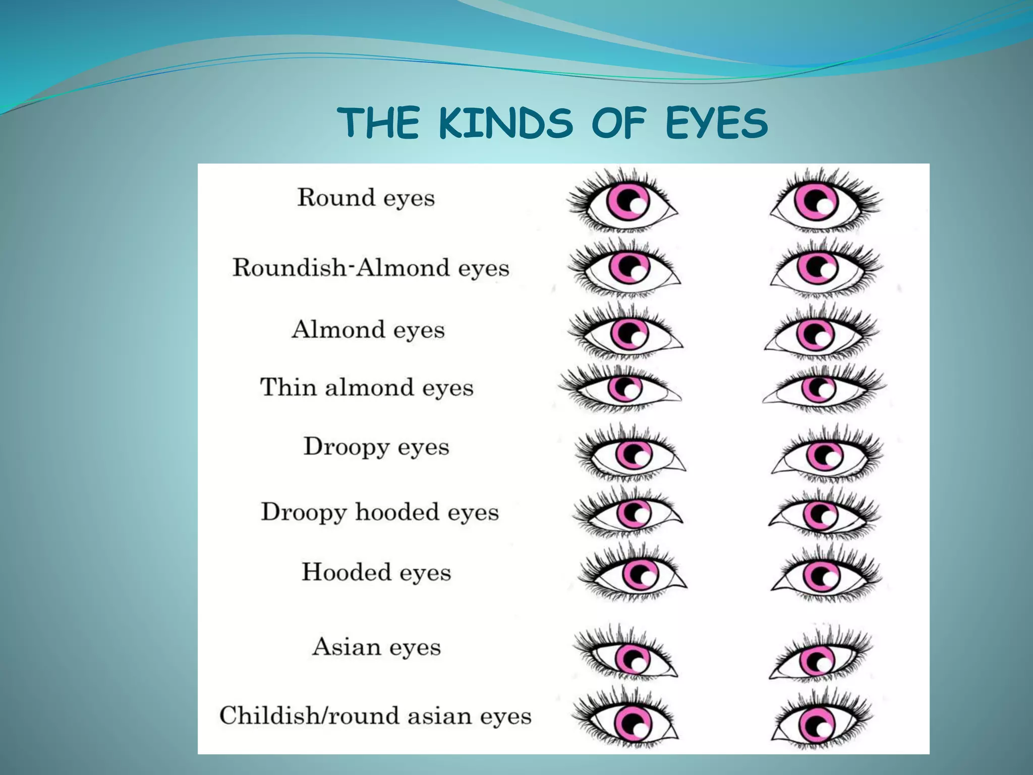 THE KINDS OF EYES
 