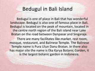 Bedugul in Bali Island
Bedugul is one of place in Bali that has wonderful
landscape. Bedugul is also one of famous place in Bali.
Bedugul is located on the peak of mountain, located in
the centre north region of the Bali island near Lake
Bratan on the road between Denpasar and Singaraja.
There are many facilitates like market, rest room,
mosque, restaurant, and Balinese Temple. The Balinese
Temple name is Pura Ulun Danu Bratan. In there also
has major site the name is Eka Karya Botanic Garden, it
is the largest botanic garden in Indonesia.
 