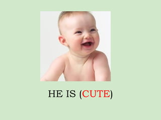 HE IS (CUTE)
 