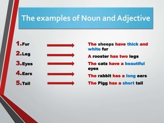 The examples of Noun and Adjective
1.Fur
2.Leg
3.Eyes
4.Ears
5.Tail
The sheeps have thick and
white fur
A rooster has two ...
