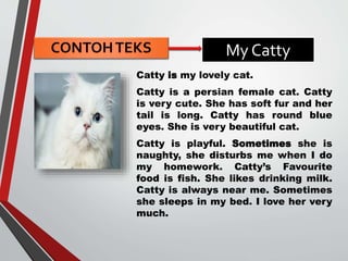 My Catty
Catty is my lovely cat.
Catty is a persian female cat. Catty
is very cute. She has soft fur and her
tail is long....