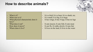 How to describe animals?
- What is it?
- What size is it?
- What physical characteristic does it
have?
- What does it eat?
- How does it move?
- Where does it live?
- It is a bird; It is a bear; It is a shark; etc.
- It is small; It is big; It is huge
- It has wings; It has 4 legs; It has no legs
- It eats insects; It eats fish; It eats meat
- It can fly; It walks slowly; It runs fast
- It lives on the land; It lives in the water
 