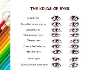 THE KINDS OF EYES
 