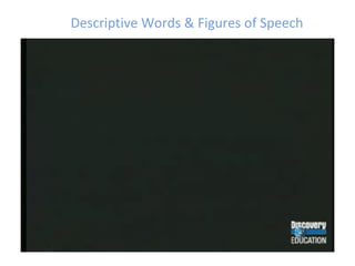 Descriptive Words & Figures of Speech 