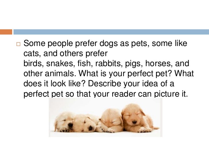 Write a paragraph about dogs