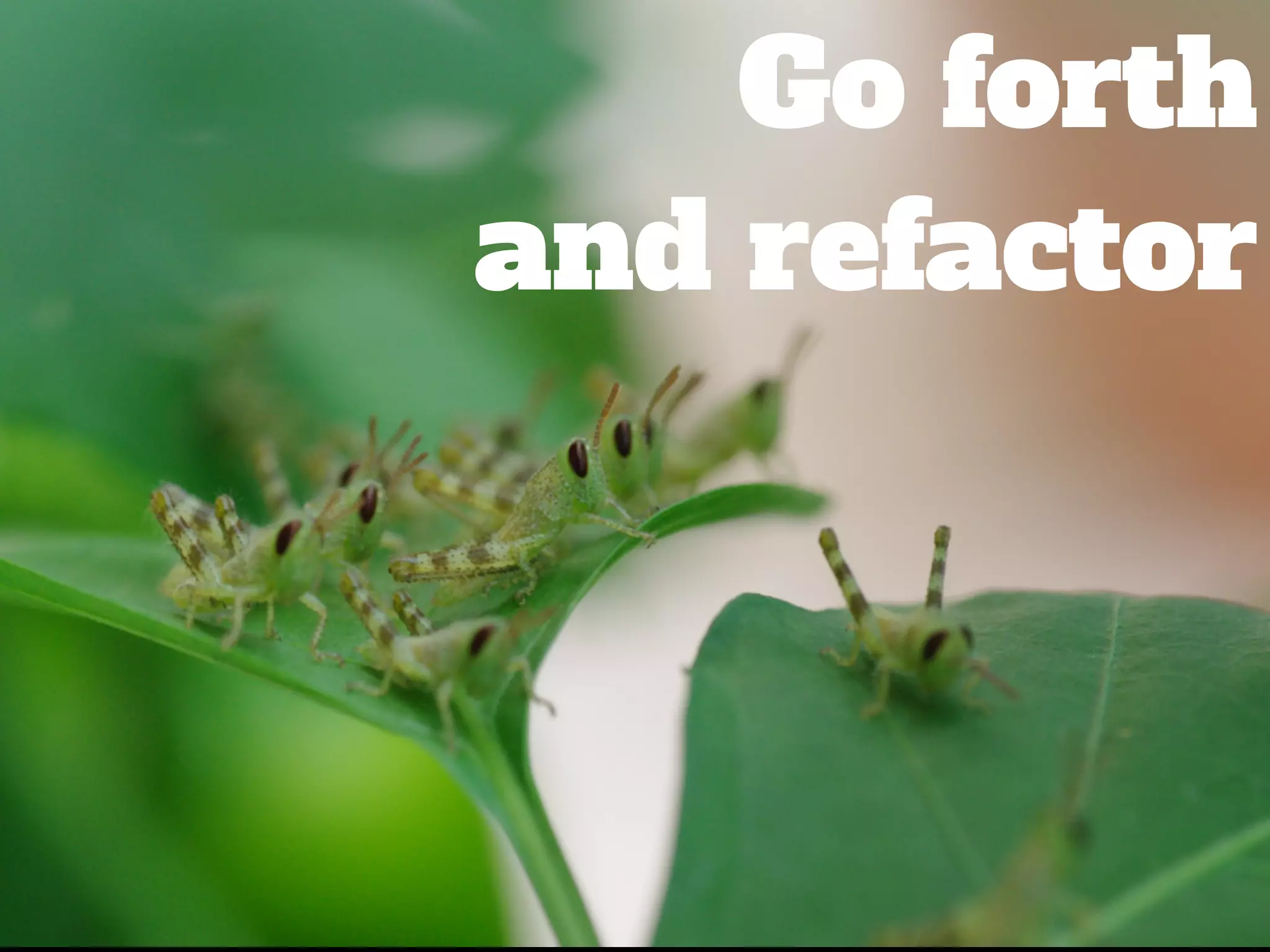 Go forth
and refactor
 