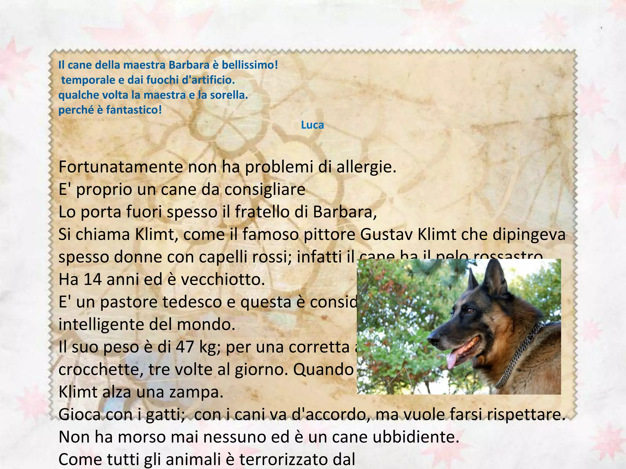 Descrizione pastore tedesco | PPT