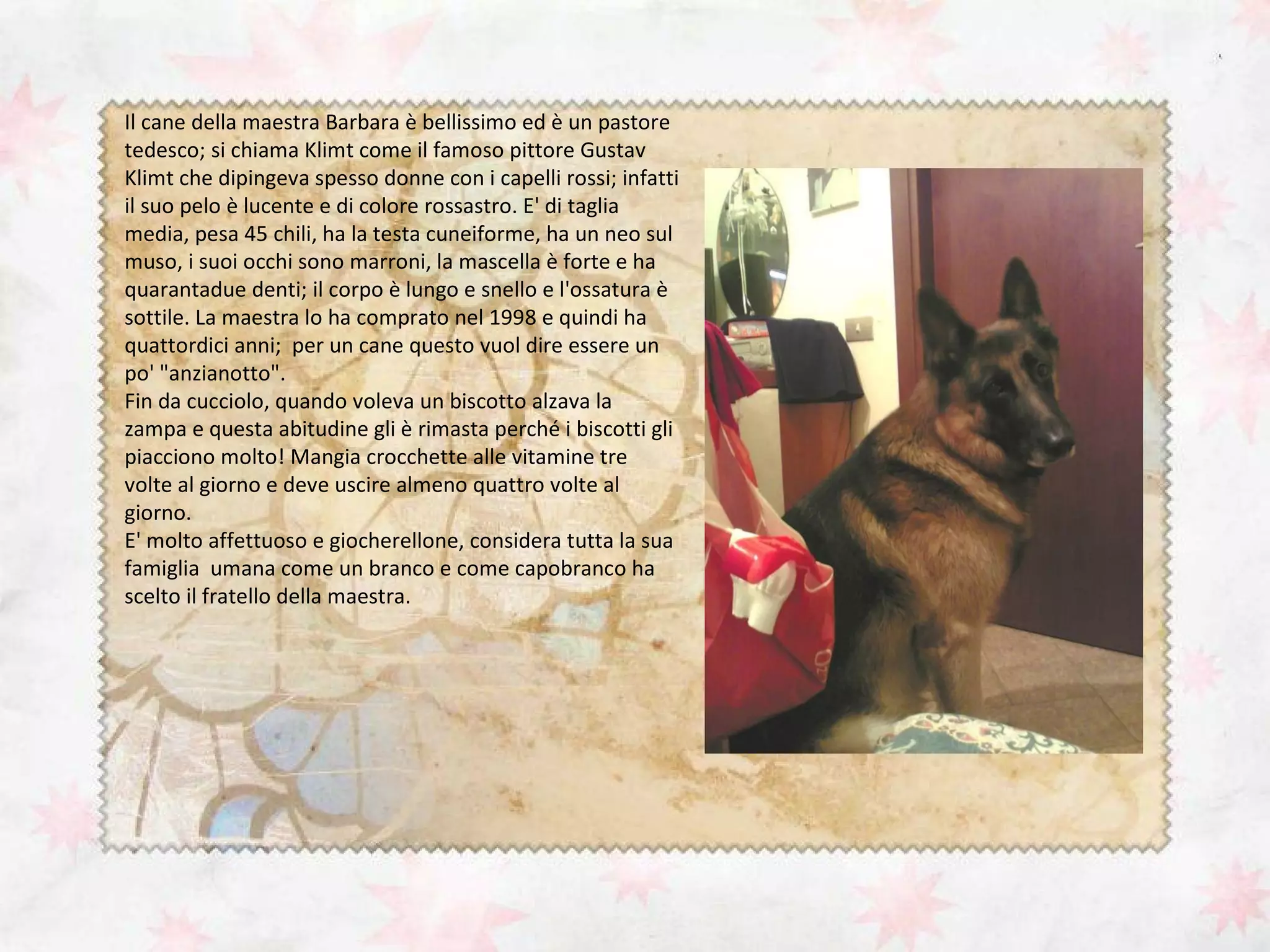 Descrizione pastore tedesco | PPT