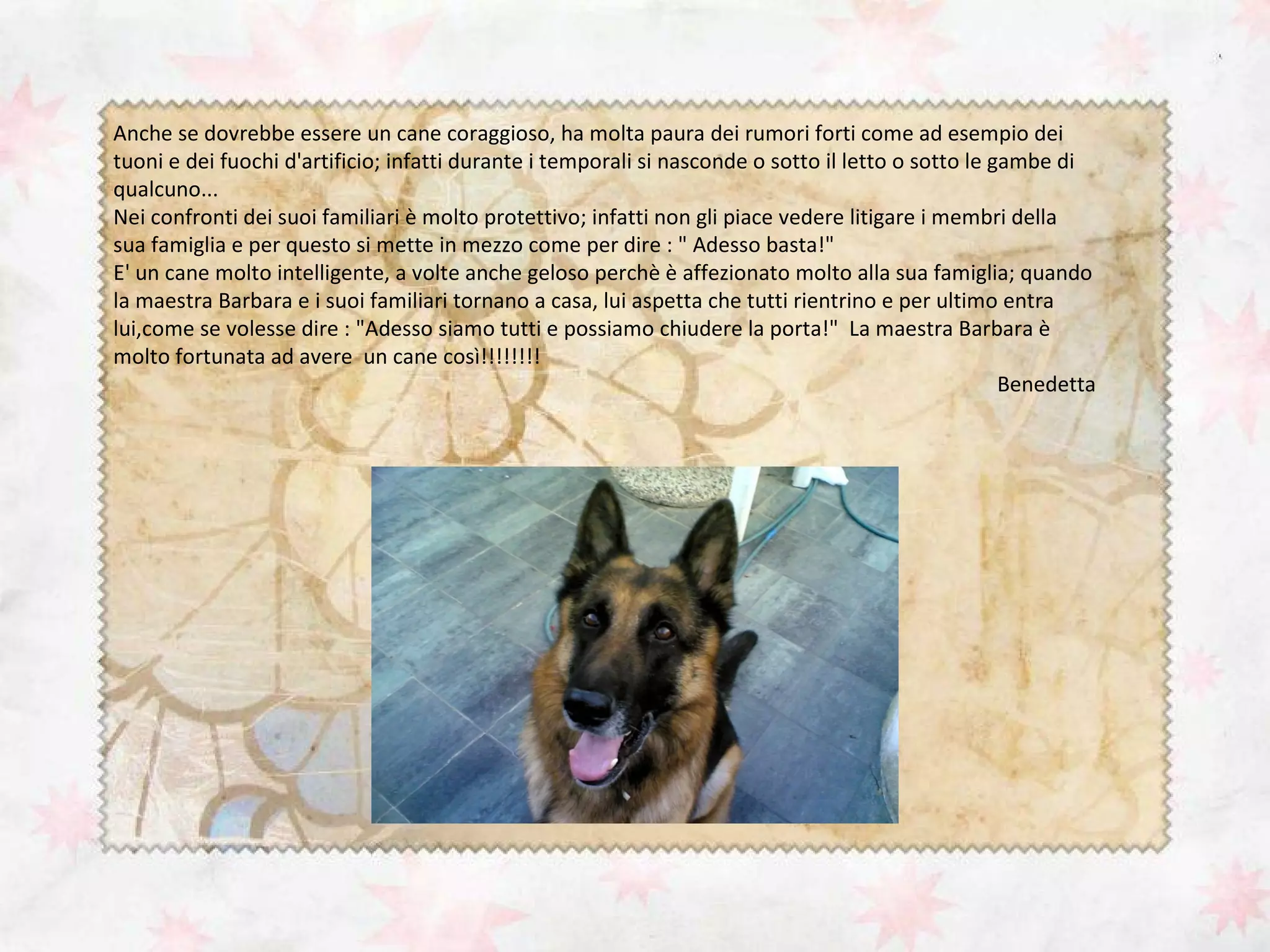 Descrizione Soggettiva Di Un Pastore Tedesco