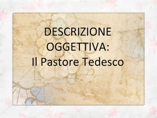 DESCRIZIONE
OGGETTIVA:
Il Pastore Tedesco

 
