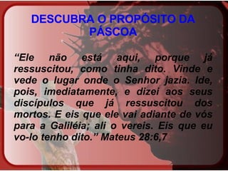 DESCUBRA O PROPÓSITO DA PÁSCOA   “ Ele não está aqui, porque já ressuscitou, como tinha dito. Vinde e vede o lugar onde o Senhor jazia. Ide, pois, imediatamente, e dizei aos seus discípulos que já ressuscitou dos mortos. E eis que ele vai adiante de vós para a Galiléia; ali o vereis. Eis que eu vo-lo tenho dito.” Mateus 28:6,7   