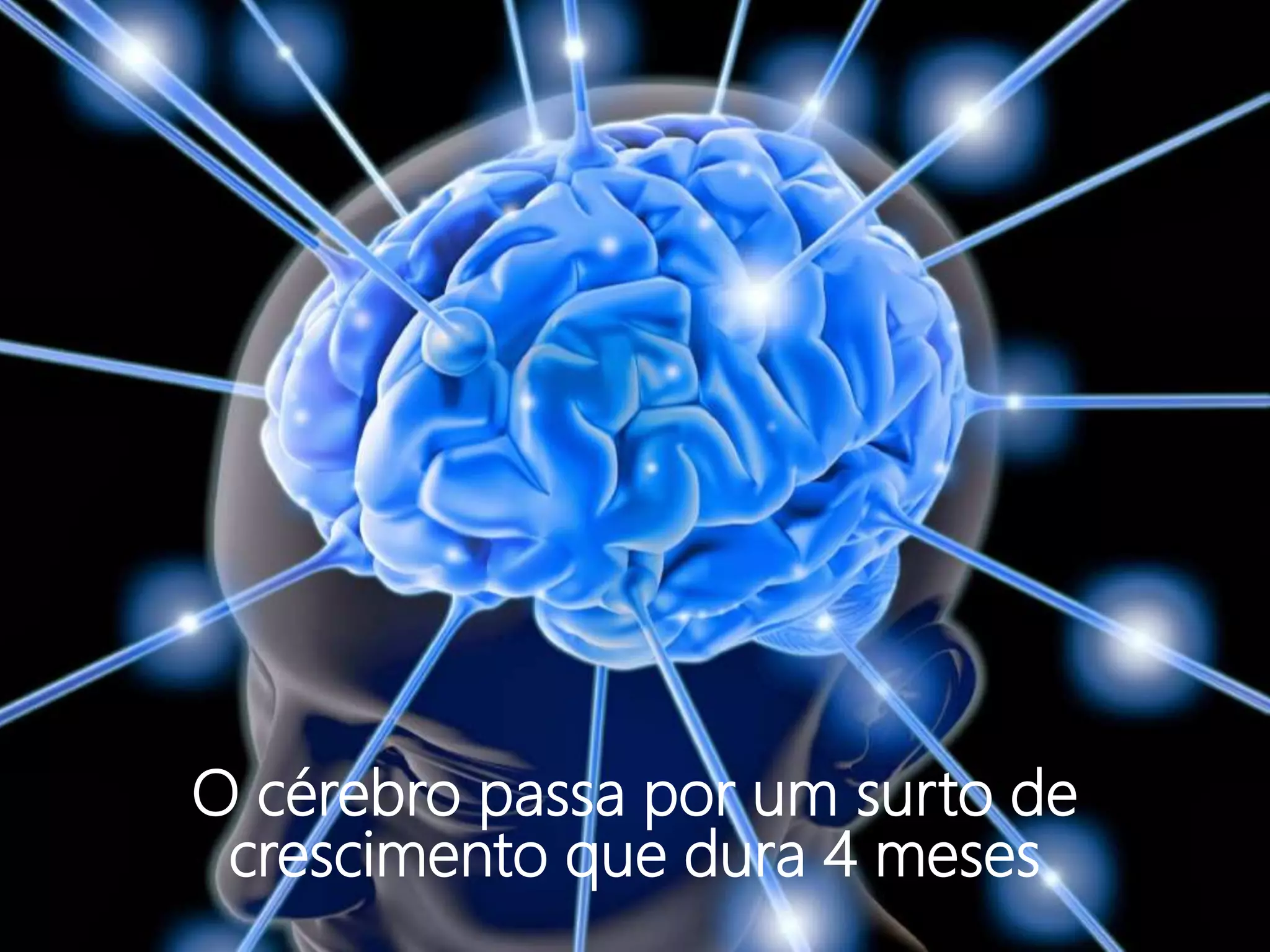 O cérebro passa por um surto de
crescimento que dura 4 meses
 