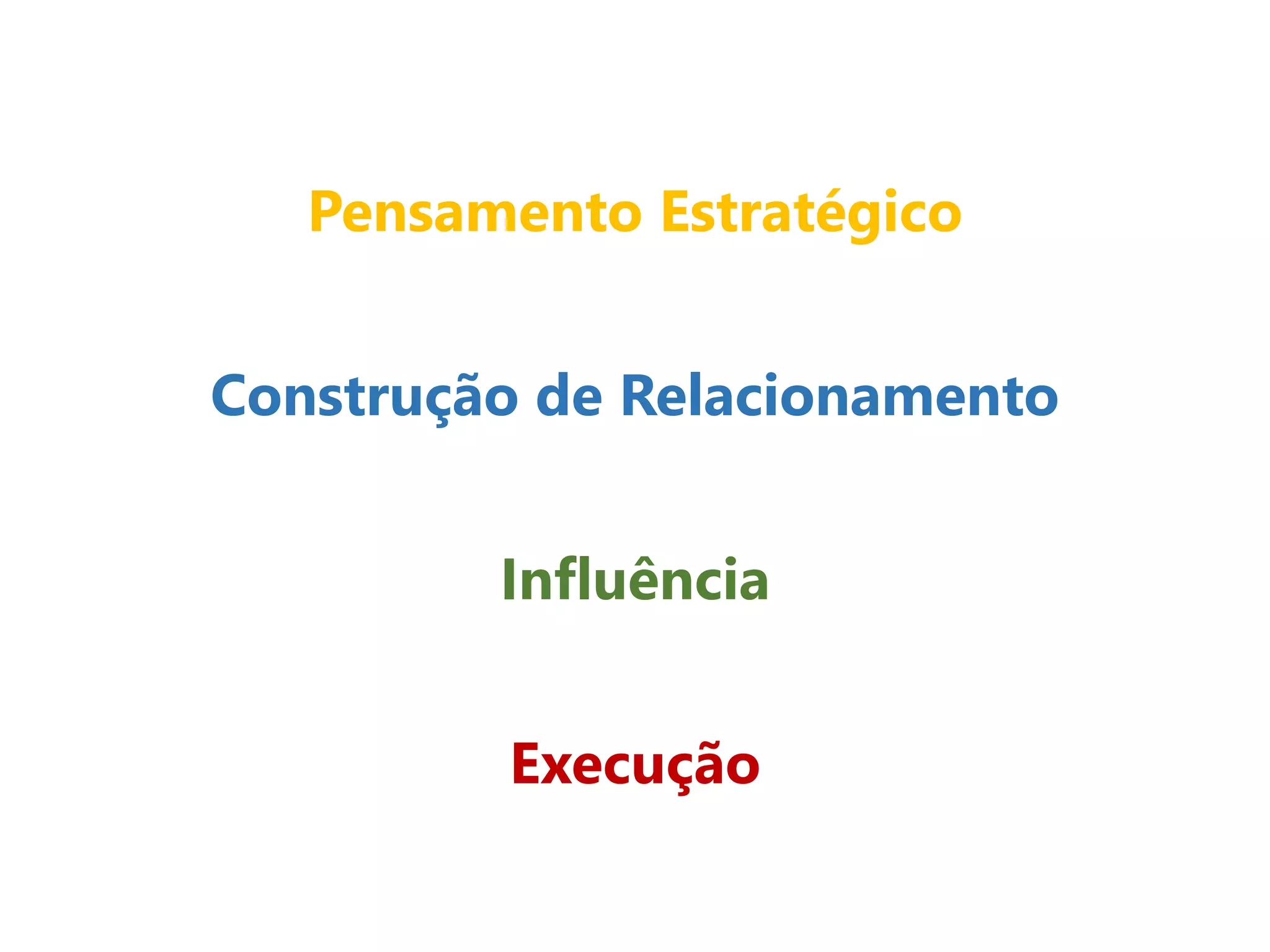 Pensamento Estratégico
Construção de Relacionamento
Influência
Execução
 
