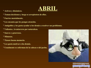 ABRIL° Activos y dinámicos.
° Toman decisiones y luego se arrepienten de ellas.
° Fuertes mentalmente.
° Les encanta que les pongas atención.
° Amigables y les gusta ayudar a los demás a resolver sus problemas.
° Valientes. Aventureros por naturaleza.
° Suaves y generosos.
° Mimosos.
° Tienen buena memoria.
° Les gusta motivar a los demás.
° Usualmente se enferman de la cabeza o del pecho.
 