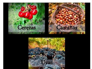 Cerezas Castañas
Uvas
 