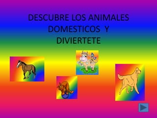 DESCUBRE LOS ANIMALES
    DOMESTICOS Y
     DIVIERTETE
 