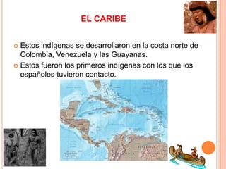 EL CARIBE
 Estos indígenas se desarrollaron en la costa norte de
Colombia, Venezuela y las Guayanas.
 Estos fueron los p...