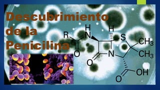 Descubrimiento
de la
Penicilina
 