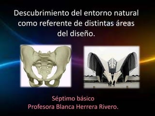 Descubrimiento del entorno natural
como referente de distintas áreas
del diseño.
Séptimo básico
Profesora Blanca Herrera Rivero.
 