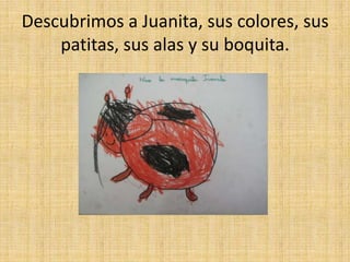 Descubrimos a Juanita, sus colores, sus
    patitas, sus alas y su boquita.
 