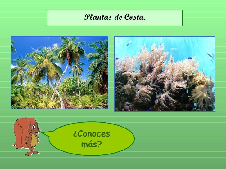 Descubrimos El Paisaje