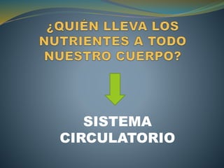 SISTEMA
CIRCULATORIO
 