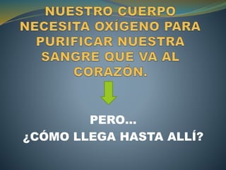 PERO…
¿CÓMO LLEGA HASTA ALLÍ?