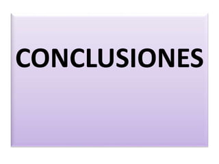 CONCLUSIONES
 