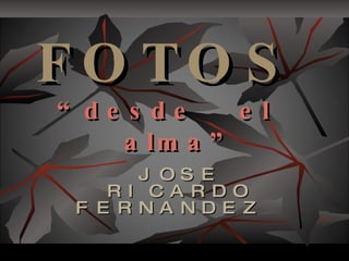 FOTOS   “desde  el  alma” JOSE RICARDO FERNANDEZ   