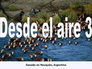 Desde el aire 3 Ganado en Neuquén, Argentina 