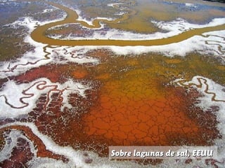 Sobre lagunas de sal, EEUU

 