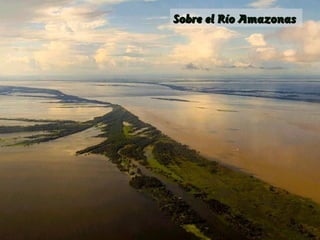 Sobre el Río Amazonas

 