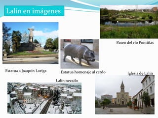 Lalín en imágenes
Estatua a Joaquín Loriga
Paseo del río Pontiñas
Lalín nevado
Iglesia de LalínEstatua homenaje al cerdo
 