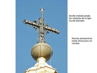 Desde Las Cubiertas De La Iglesia Del Salvador De Sevilla V