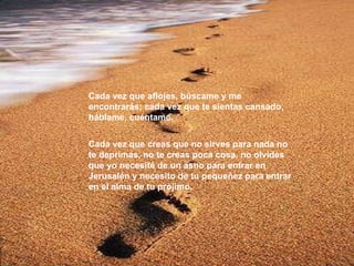 Cada vez que aflojes, búscame y me encontrarás; cada vez que te sientas cansado, háblame, cuéntame. Cada vez que creas que no sirves para nada no te deprimas, no te creas poca cosa, no olvides que yo necesité de un asno para entrar en Jerusalén y necesito de tu pequeñez para entrar en el alma de tu prójimo. 