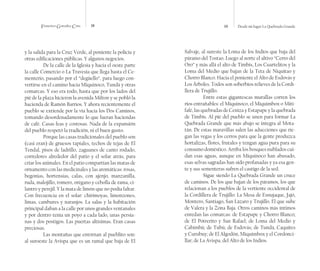 Francisco González Cruz 18 19 Desde mi lugar La Quebrada Grande
y la salida para la Cruz Verde, al poniente la policía y
otras edificaciones públicas. Y algunos negocios.
De la calle de la Iglesia y hacia el oeste parte
la calle Comercio o La Travesía que llega hasta el Ce-
menterio, pasando por el “degüello”, para luego con-
vertirse en el camino hacia Miquinoco, Tundá y otras
comarcas. Y eso era todo, hasta que por los lados del
pié de la plaza hicieron la avenida Milton y se pobló la
hacienda de Ramón Barrios. Y ahora recientemente el
pueblo se extiende por la vía hacia los Dos Caminos,
tomando desordenadamente lo que fueran haciendas
de café. Casas feas y costosas. Nada de la expansión
del pueblo respetó la tradición, ni el buen gusto.
Porque las casas tradicionales del pueblo son
(casi eran) de gruesos tapiales, techos de tejas de El
Tendal, pisos de ladrillo, zaguanes de canto rodado,
corredores alrededor del patio y el solar atrás, para
criar los animales. En el patio compartían las matas de
ornamento con las medicinales y las aromáticas: rosas,
begonias, hortensias, calas, con ajenjo, manzanilla,
ruda, malojillo, romero, orégano y cebolla de rama, ci-
lantro y perejil. Y la mata de limón que no podía faltar.
Con frecuencia en el solar: chirimoyas, limonzones,
limas, cambures y naranjos. La salas y la habitación
principal daban a la calle por unos grandes ventanales
y por dentro tenía un poyo a cada lado, unas persia-
nas y dos postigos. Las puertas altísimas. Eran casas
preciosas.
Las montañas que entornan al pueblito son:
al suroeste la Avispa que es un ramal que baja de El
Salvaje, al sureste la Loma de los Indios que baja del
páramo del Tostao. Luego al norte el altivo “Cerro del
Oro” y más allá el alto de Timbís, Los Cuartelitos y la
Loma del Medio que bajan de la Teta de Niquitao y
Chorro Blanco. Hacia el poniente el Alto de Esdovás y
Los Árboles. Todos son soberbios relieves de la Cordi-
llera de Trujillo.
Entre estas gigantescas murallas corren los
ríos entrañables: el Miquinoco, el Miquimbox o Miti-
fafé, las quebradas de Ceniza y Estapape y la quebrada
de Timbís. Al pié del pueblo se unen para formar La
Quebrada Grande que más abajo se integra al Mota-
tán. De estas maravillas salen las aducciones que rie-
gan las vegas y los cerros para que la gente produzca
hortalizas, flores, frutales y tengan agua pura para su
consumo doméstico. Arriba los bosques nublados cui-
dan esas aguas, aunque en Miquinoco han abusado,
esas selvas sagradas han sido profanadas y ya esa gen-
te y sus sementeras sufren el castigo de la sed.
Sigue siendo La Quebrada Grande un cruce
de caminos. De los que bajan de los páramos, los que
relacionan a los pueblos de la vertiente occidental de
la Cordillera de Trujillo: La Mesa de Esnujaque, Jajó,
Montero, Santiago, San Lázaro y Trujillo. El que sube
de Valera y la Zona Baja. Otros caminos más íntimos
enredan las comarcas: de Estapape y Chorro Blanco;
de El Potrerito y San Rafael; de Loma del Medio y
Cabimbú; de Tubú; de Esdovás; de Tundá, Caquites
y Curubuy; de El Algodón, Miquimbox y el Cordonci-
llar; de La Avispa, del Alto de los Indios.
 