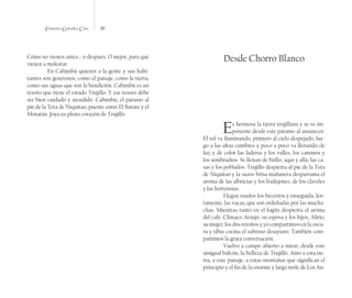 Francisco González Cruz 26
Cómo no vienen antes… o después. O mejor, para qué
vienen a molestar.
En Cabimbú quieren a la gente y sus habi-
tantes son generosos, como el paisaje, como la tierra,
como sus aguas que son la bendición. Cabimbú es un
tesoro que tiene el estado Trujillo. Y ese tesoro debe
ser bien cuidado y atendido. Cabimbú, el páramo al
pié de la Teta de Niquitao, puente entre El Burate y el
Motatán. Joya en pleno corazón de Trujillo.
Desde Chorro Blanco
Es hermosa la tierra trujillana y se ve im-
ponente desde este páramo al amanecer.
El sol va iluminando, primero al cielo despejado, lue-
go a las altas cumbres y poco a poco va llenando de
luz y de color las laderas y los valles, los caminos y
los sembradíos. Se llenan de brillo, aquí y allá, las ca-
sas y los poblados. Trujillo despierta al pie de la Teta
de Niquitao y la suave brisa mañanera desparrama el
aroma de las albricias y los frailejones, de los claveles
y las hortensias.
Llegan raudos los becerros y enseguida, len-
tamente, las vacas, que son ordeñadas por las mucha-
chas. Mientras tanto en el fogón despierta el aroma
del café. Clímaco Araujo, su esposa y los hijos, Alirio,
su mujer, los dos retoños y yo compartimos en la oscu-
ra y tibia cocina el sabroso desayuno. También com-
partimos la grata conversación.
Vuelvo a campo abierto a mirar, desde este
sinigual balcón, la belleza de Trujillo. Amo a esta tie-
rra, a este paisaje, a estas montañas que significan el
principio y el fin de la enorme y larga mole de Los An-
 
