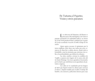 De Tuñame,el Pajarito,
Visún y otros páramos
Las cabeceras del Motatán y del Burate se
unen por el alto del Pajarito y de Visún en
paisajes parameños de espléndida belleza, en tierras
de la más fértil productividad y poblada por la gente
de la más acendrada vocación al noble trabajo de los
suelos.
Quien quiera rescatar el optimismo por la
tierra trujillana, debe darse una vuelta por estas co-
marcas de clima frío y cálidos afectos, donde todo es
formidable, como las montañas que entornan a los va-
lles y las profundidades que definen los abismos.
Las altas cumbres coronan la cordillera de
Trujillo y separan estos lugares de la cuenca alta del
río Santo Domingo. Son riscos graníticos fracturados
por los hielos que simbolizan recios guardianes de pá-
ramos y lagunas.
Los valles en “u”, modelados por las lenguas
de hielo que bajaron desde las alturas para suavizar
el relieve y dejarlo tendido para recibir el trabajo del
hombre, son extensos y polícromos lienzos para cuya
 