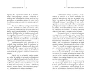 Francisco González Cruz 74 75 Desde mi lugar La Quebrada Grande
Séptimo Día, suplemento cultural de El Nacional,
publica varios reportajes con base a fotografías te-
máticas. Viaja al exterior llevado por su oficio. Hace
amistad con los grandes personajes. Se codea con la
farándula, donde es apreciado por su carácter jovial y
alegre.
Sus raíces andinas y su temperamento raizal
lo llevan a incursionar en temas relacionados con la
vida rural, con el ambiente, con la cultura vernácula y
son frecuentes sus trabajos sobre los recursos natura-
les, sobre el folklore, sobre las sencillas costumbres de
los campesinos. Denuncia la contaminación de los pá-
ramos, la arquitectura que rompe con los valores tra-
dicionales, el crecimiento urbanístico desmesurado y
la pérdida de la identidad local y nacional.
Su inconformidad con la falsedad de la ca-
pital y la visión parcial que desde allí predomina so-
bre la realidad nacional, lo hace tomar la decisión de
abandonarlo todo y regresar a su tierra natal. Deja sus
famosas amistades, renuncia al trabajo, abandona su
apartamento de lujo y toma su rumbo definitivo hacia
Trujillo.
Decide vivir en un humilde rancho campesi-
no a orillas del Mitifafé, en la comarca de Miquimbox,
más arriba de La Quebrada Grande. Su oficio ahora es
cuidar cada mata de café como si fuera su única tarea
en el mundo, cultivar la tierra con el amor del que sabe
de dónde proviene y cuál es su destino. También cría
animales, siembra frutales, cuida un hermoso jardinci-
to y vive rodeado de su fieles perros y gatos.
Germancito se entrega a la tierra y a sus ele-
mentos. Se convierte en su amante defensor y está
pendiente que nadie por esos lares ofenda a la natu-
raleza. Está pendiente de cada mata y de cada animal.
Defiende la montaña y sus neblinas. Se bate por las
aguas y sus fuentes. Valoriza la cultura campesina y
participa en las alegres veladas musicales, en las fies-
tas de niño,, rescata las corridas de cintas, se entusias-
ma con las Locainas, convoca los mejores convites y
alegra con sus chistes y carcajadas todas las fiestas.
Germancito recorre los campos quebradeños
y en todas partes es recibido con cariño especial. Todo
el mundo lo conoce como el hombre bueno incapaz
de una vaina mala. Se le abren todas las puertas y en
todas las casas entra hasta la cocina. Es el amigo de
todos, y sólo le tienen alguna rabia los que se saben
culpables de algún daño a la naturaleza. En su caballo
“Lucero” va regando su simpatía por todas las comar-
cas y en todas ellas recoge el fruto de la amistad.
El periodista que sigue siendo lo decide a sa-
car la cámara y el Diario de los Andes le abre sus pági-
nas. En esta casa de noble periodismo encuentra cause
para sus luchas y mucho de aquellos campos empieza
a salir por estas páginas. Y aquí conocen al campesino
que hace noticias gráficas.
Vive modestamente en su “Germanera” y
allí es visitado por algunos de sus antiguos amigos de
Caracas, que lo tientan con ofertas para que regrese a
la capital. Ya Germancito es parte del paisaje de este
lugar de los Andes y el paisaje no se muda. Germán
 