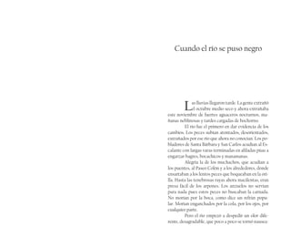 Cuando el río se puso negro
Las lluvias llegaron tarde. La gente extrañó
el octubre medio seco y ahora extrañaba
este noviembre de fuertes aguaceros nocturnos, ma-
ñanas neblinosas y tardes cargadas de bochorno.
El río fue el primero en dar evidencia de los
cambios. Los peces subían atontados, desorientados,
extrañados por ese río que ahora no conocían. Los po-
bladores de Santa Bárbara y San Carlos acudían al Es-
calante con largas varas terminadas en afiladas púas a
engarzar bagres, bocachicos y manamanas.
Alegría la de los muchachos, que acudían a
los puentes, al Paseo Colón y a los alrededores, donde
ensartaban a los lentos peces que boqueaban en la ori-
lla. Hasta las tenebrosas rayas ahora macilentas, eran
presa fácil de los arpones. Los anzuelos no servían
para nada pues estos peces no buscaban la carnada.
No morían por la boca, como dice un refrán popu-
lar. Morían enganchados por la cola, por los ojos, por
cualquier parte.
Pero el río empezó a despedir un olor dife-
rente, desagradable, que poco a poco se tornó nausea-
 