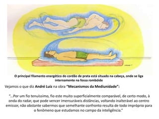 O principal filamento energético do cordão de prata está situado na cabeça, onde se liga
internamente na fossa rombóide
Vejamos o que diz André Luiz na obra “Mecanismos da Mediunidade”:
“...Por um fio tenuíssimo, fio este muito superficialmente comparável, de certo modo, à
onda do radar, que pode vencer imensuráveis distâncias, voltando inalterável ao centro
emissor, não obstante sabermos que semelhante confronto resulta de todo impróprio para
o fenômeno que estudamos no campo da inteligência.”
 