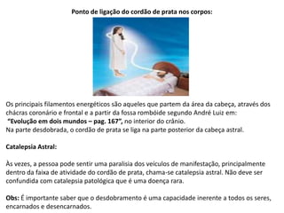 Ponto de ligação do cordão de prata nos corpos:
Os principais filamentos energéticos são aqueles que partem da área da cabeça, através dos
chácras coronário e frontal e a partir da fossa rombóide segundo André Luiz em:
“Evolução em dois mundos – pag. 167”, no interior do crânio.
Na parte desdobrada, o cordão de prata se liga na parte posterior da cabeça astral.
Catalepsia Astral:
Às vezes, a pessoa pode sentir uma paralisia dos veículos de manifestação, principalmente
dentro da faixa de atividade do cordão de prata, chama-se catalepsia astral. Não deve ser
confundida com catalepsia patológica que é uma doença rara.
Obs: É importante saber que o desdobramento é uma capacidade inerente a todos os seres,
encarnados e desencarnados.
 